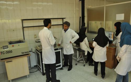 یبلیبیلب